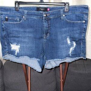 New without tags. Torrid blue short